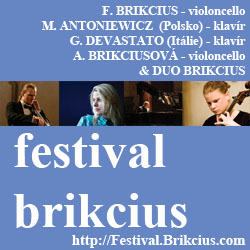 http://Festival.Brikcius.com - FESTIVAL BRIKCIUS - the chamber music concert series at the Stone Bell House (spring & autumn)