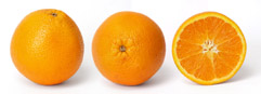 http://www.FlagstafFotos.com.au - Orange and cross section, picture of the day on the English Wikipedia for October 19, 2009, by Fir0002/Flagstaffotos, (GFDL)