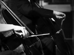 http://www.Brikcius.com - DUO BRIKCIUS, Anna Brikciusová: Czech Cellist & František Brikcius: Czech Cellist , koncert "Duo Brikcius - 2 Cellos Tour" (Poland, Krakow, Galicia Jewish Museum, 2010) http://www.Brikcius.com - DUO BRIKCIUS, Anna Brikciusová: Czech Cellist & František Brikcius: Czech Cellist , koncert "Duo Brikcius - 2 Cellos Tour" (Poland, Krakow, Galicia Jewish Museum, 2010)