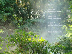 Česk violoncellistka Anna Brikciusov - Šťastn nov rok 2012!